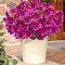 Artificial Flowers for Outdoors, Summer Potted Plants Fake Silk Flowers UV Resistant and No-Fade, Faux Summer Flowers Plants Long Stem for Window Box Porch Patio Garden Streets Decor(8pcs)